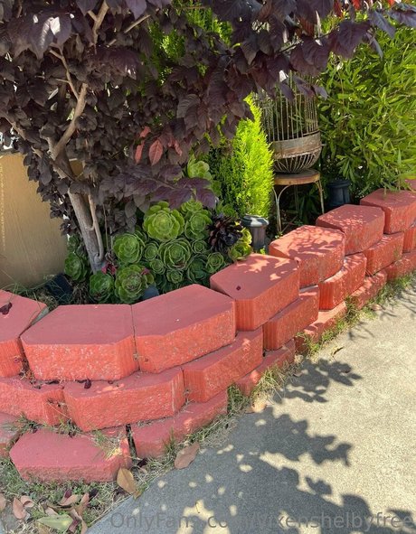 vixenshelbyfree free actress galleries