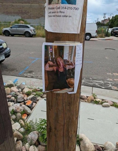 Wendy Lov star pornographic galleries