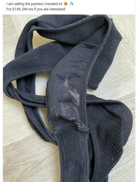 Hayleex pornstar top archive