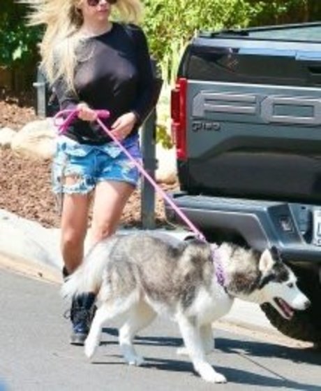 schoolgirl onlyfans free xxx photos