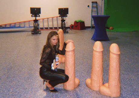 Samwitch model galleries