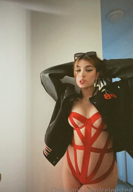 Celeesteg model high quality img