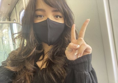 Cinnabrit adult star img