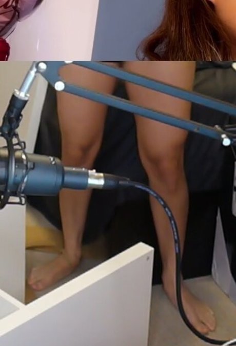 Cinnabrit star high quality photo