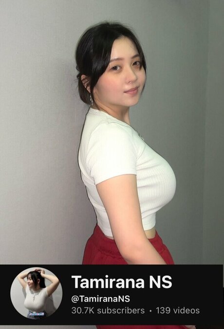 Tamirana NS model top pic