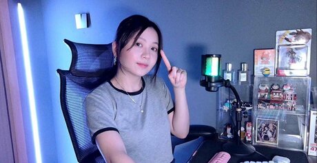 Tamirana NS model free photo