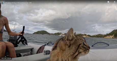 Lauren Landers star nude archive