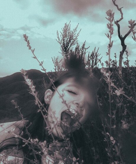 katiielady star pornographic gallery