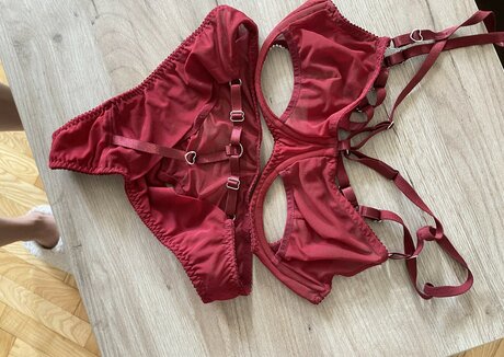 DaniPurrre sex star pic