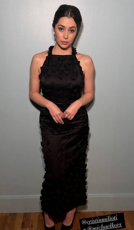 Cristin Milioti pornstar erotic archive