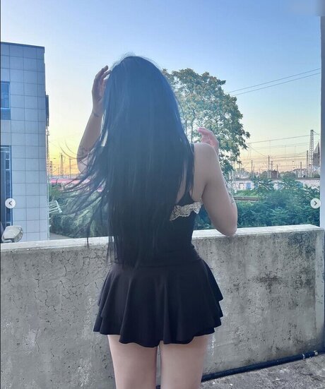 Laurinchhhe star top image