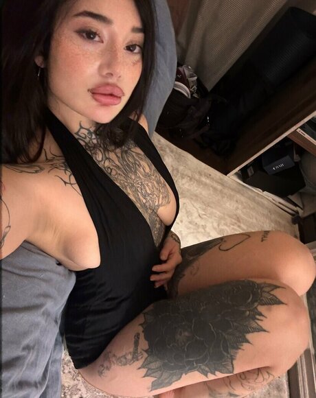 bjdmuse pornstar top pics