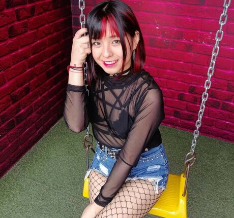 Japeruana star art gallery