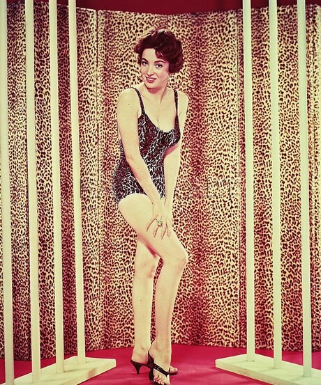 Vintage Sexy Celebs free actress photo