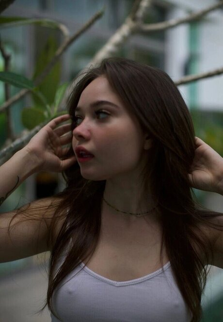 Enina24 star free photo