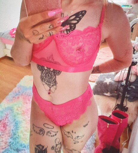 x no interest x sexy star images