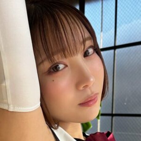 ruiruigrabeer free star images