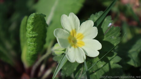 onion onlyfans art naked photos