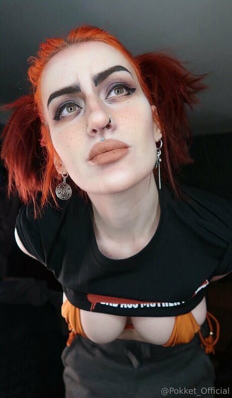 Pokket high quality star gallery