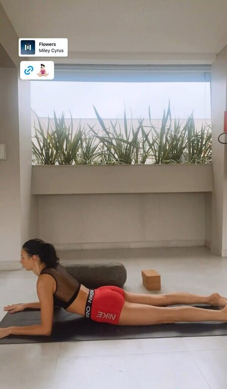 Sheilla Castro model perfect archive