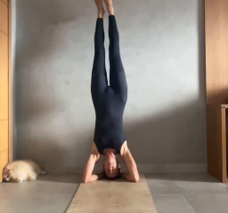 Sheilla Castro pornstar nudes galleries