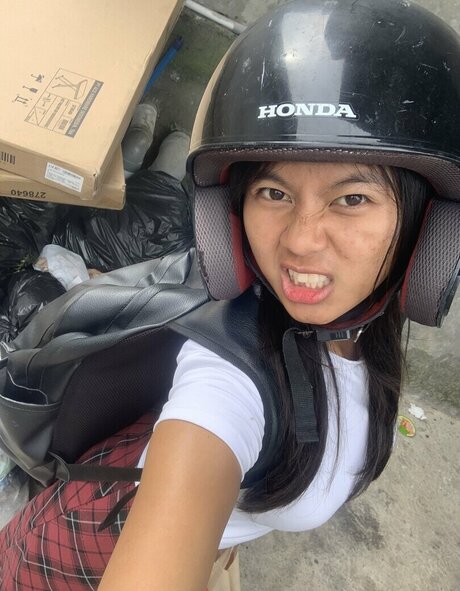 Vxilzie art star galleries