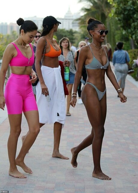 Jasmine Tookes pornstar art picture