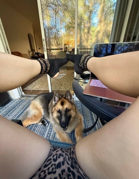 Katycarnegie pornstar sexy pics