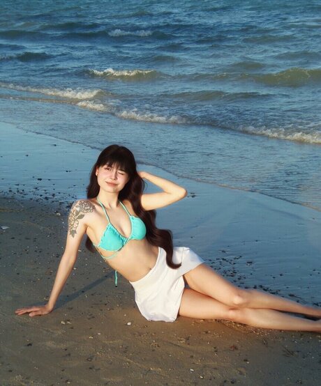 Offcbzs star free photos