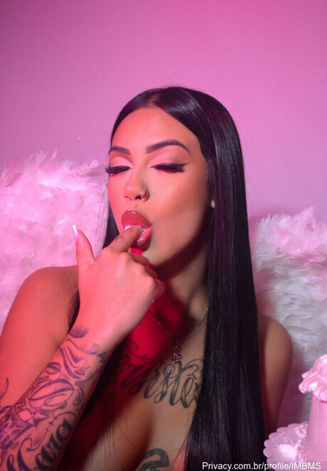 imcbms model top photo