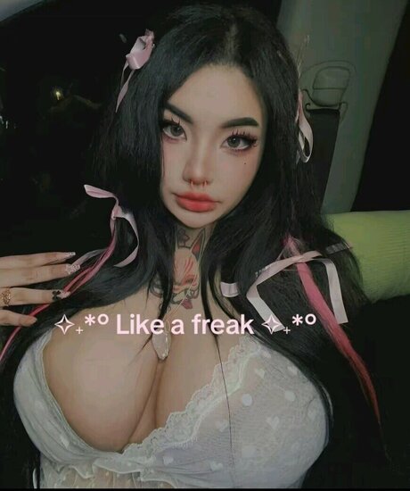 Sobaroll exclusive model archive