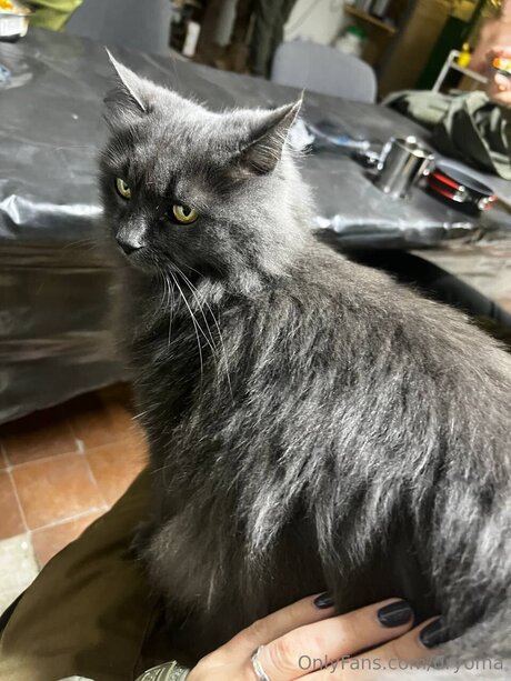 dryoma model beautiful photos