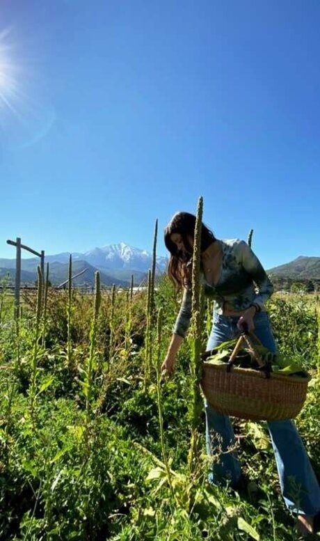 Rumpledtitskin hd actress pics