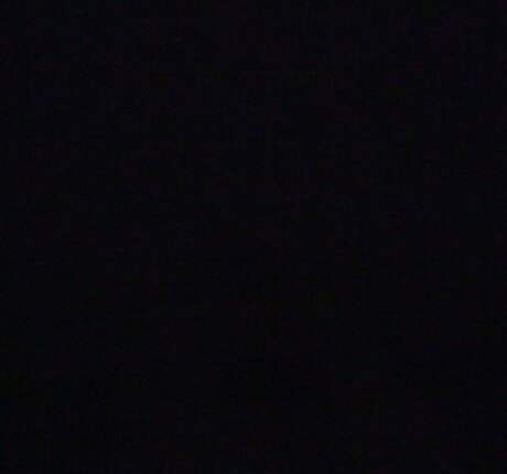 Sydney Harwin model nude galleries