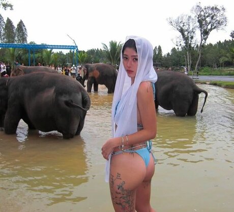 Ninonekw pornstar perfect gallery