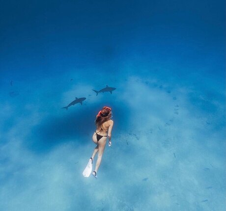 BrieWallz xxx pornstar pics