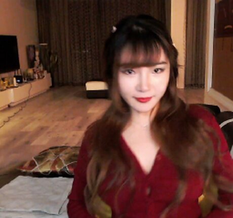 Jointotoro star archive