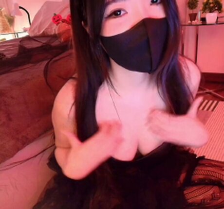 Jointotoro model beautiful pictures