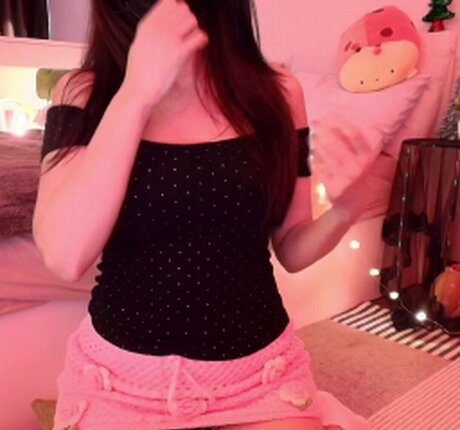 Jointotoro model art img