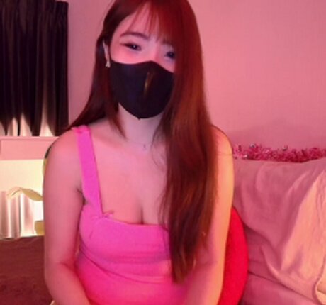 Jointotoro hd model picture