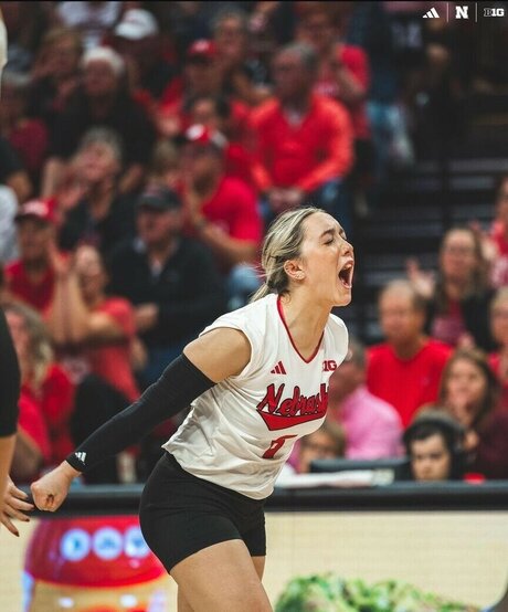 Laney Choboy model art pictures