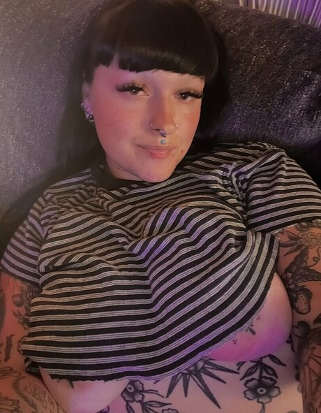 Venicecemetery star high quality pictures