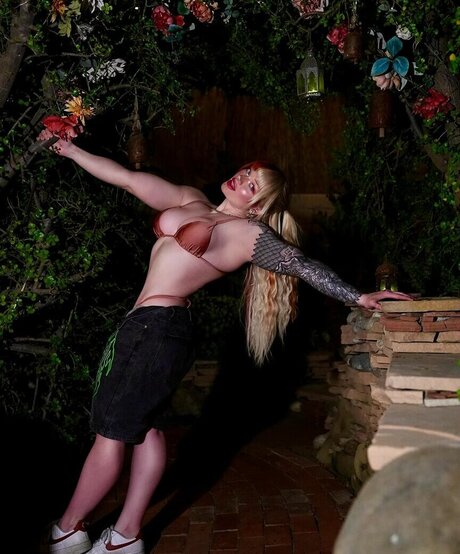 lilac lexx star images