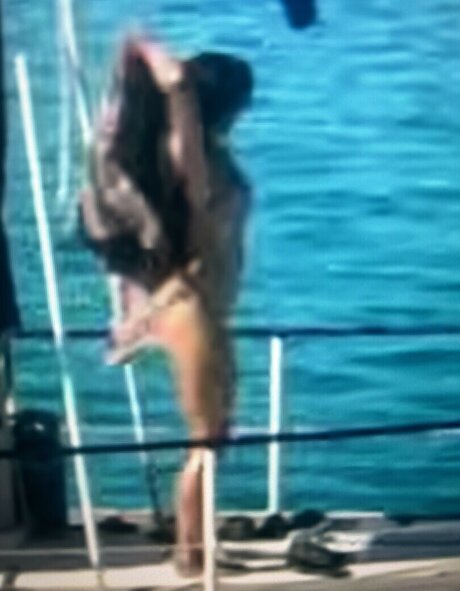 Sailing The Far Side model pretty img