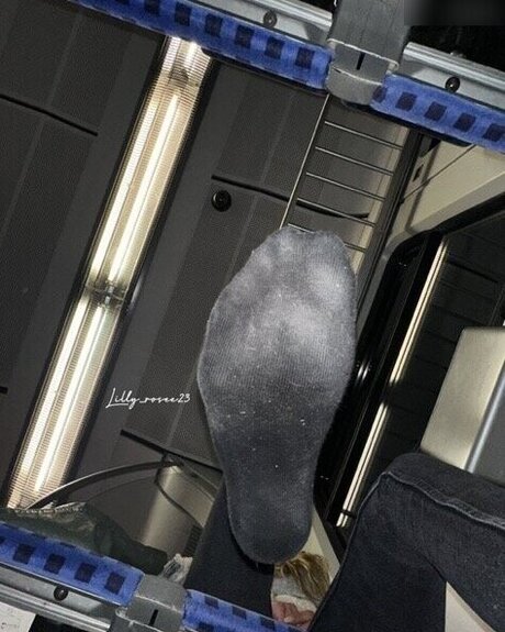 Lilly rosee23 pornstar beautiful photo