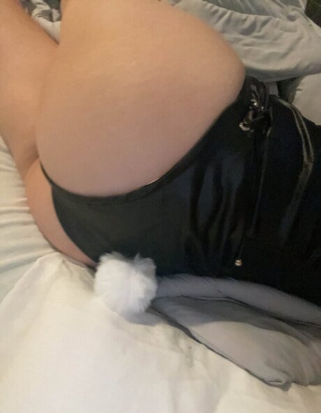 Seireals pornstar high quality archive