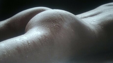 Melanie Hirsch nude pornstar pictures