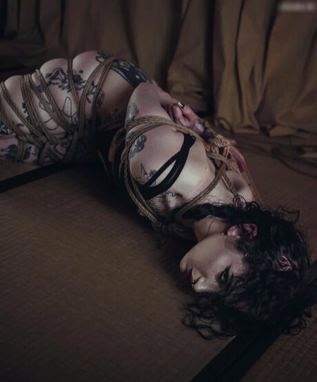 chl0lunaa star free img