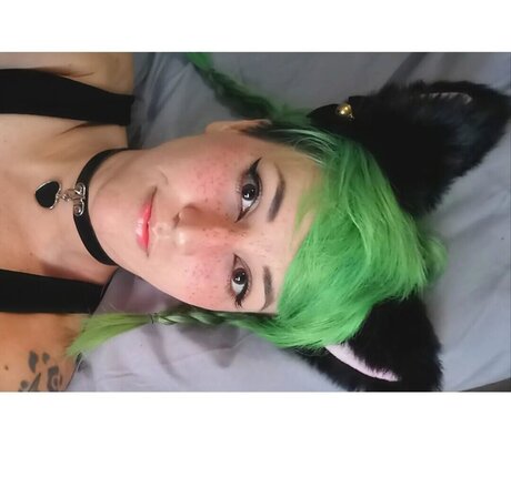 locolea art star image