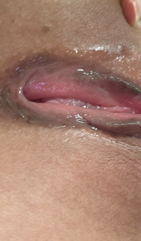 ehxoehlstkfka0 model nice image